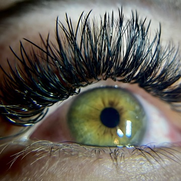 Volume Lash Extensions