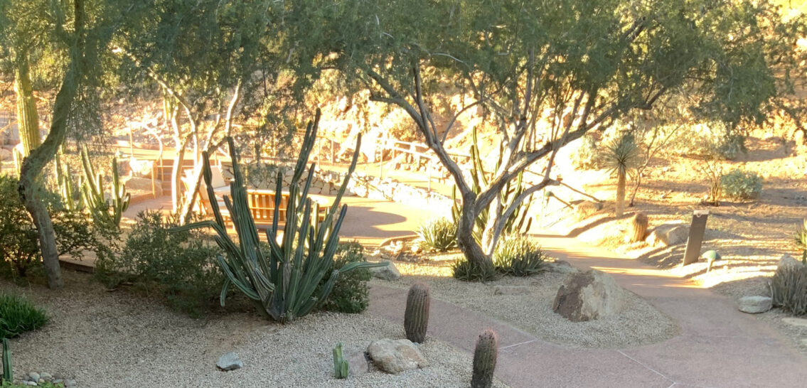 Medical recovery care